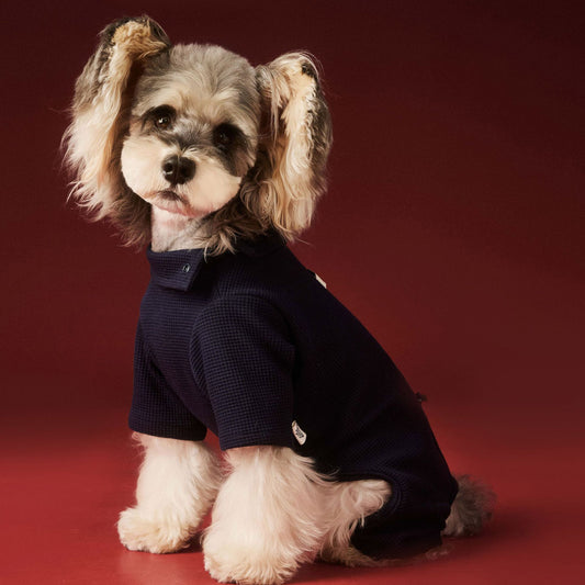 Waffle-patterned four-legged base layer for dogs in autumn and winter