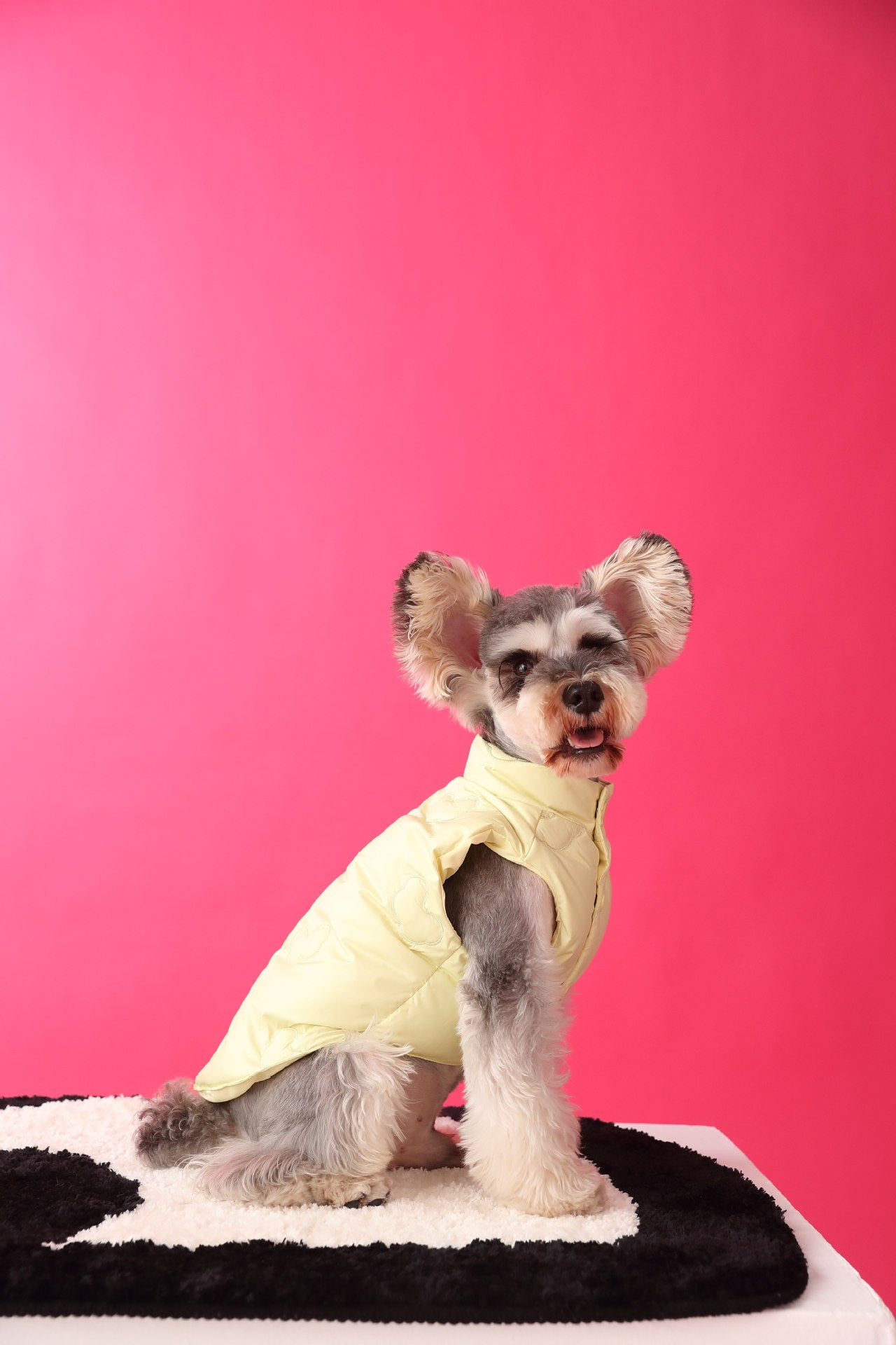 Warm puffer vest/sleeveless puffer vest for dogs