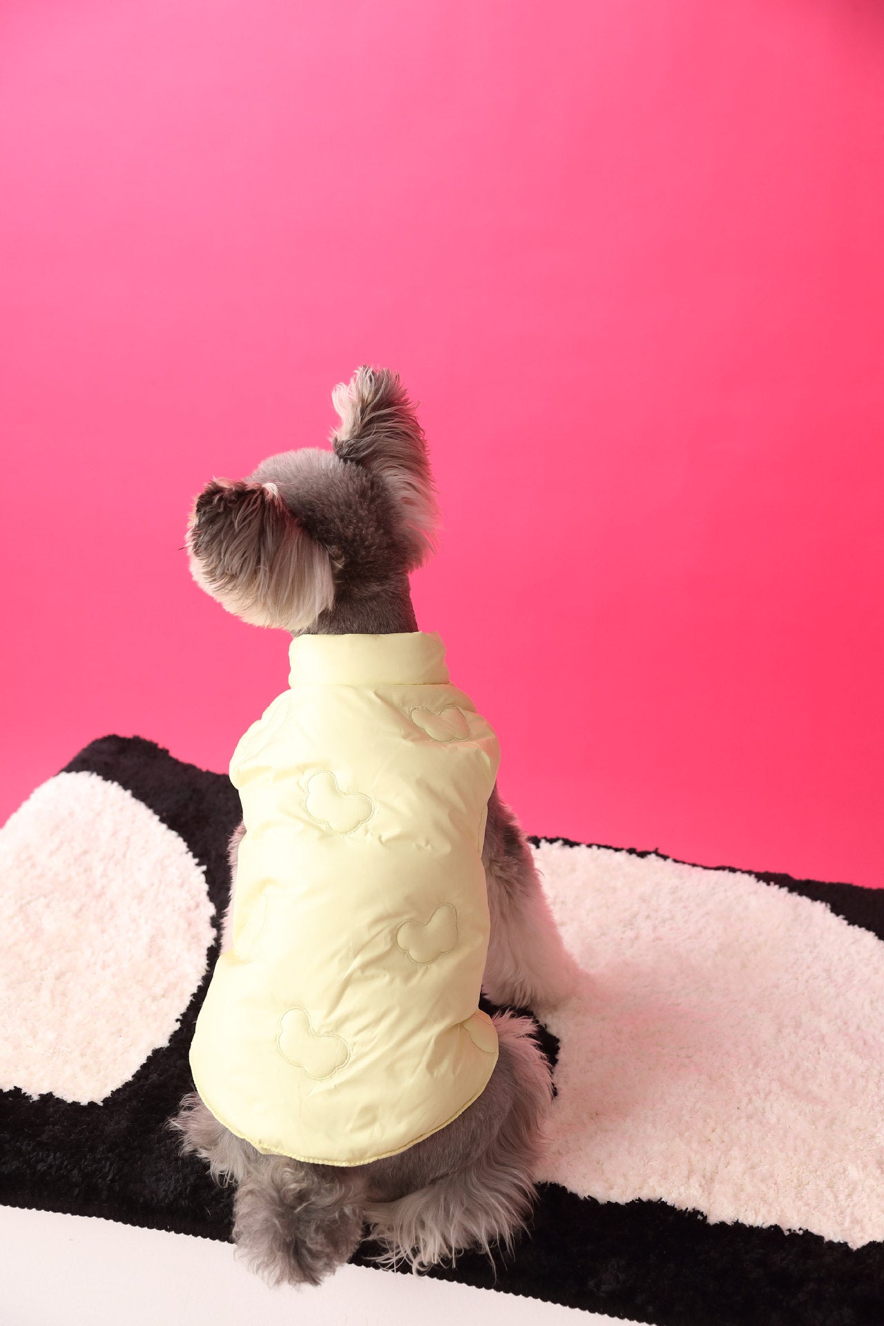 Warm puffer vest/sleeveless puffer vest for dogs