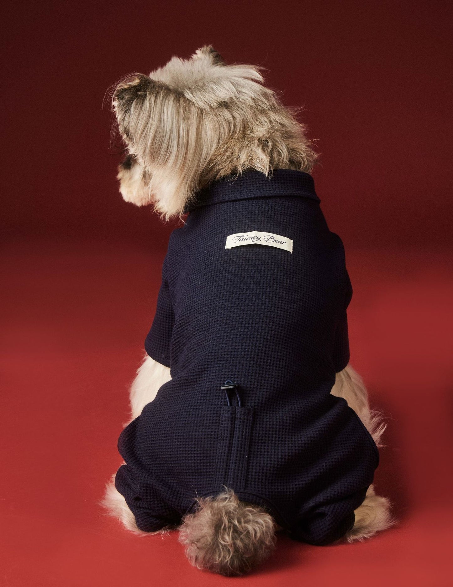 Waffle-patterned four-legged base layer for dogs in autumn and winter