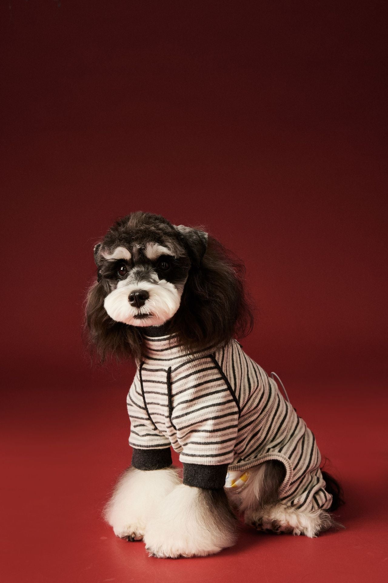 Warm four - legged striped base layer for dogs