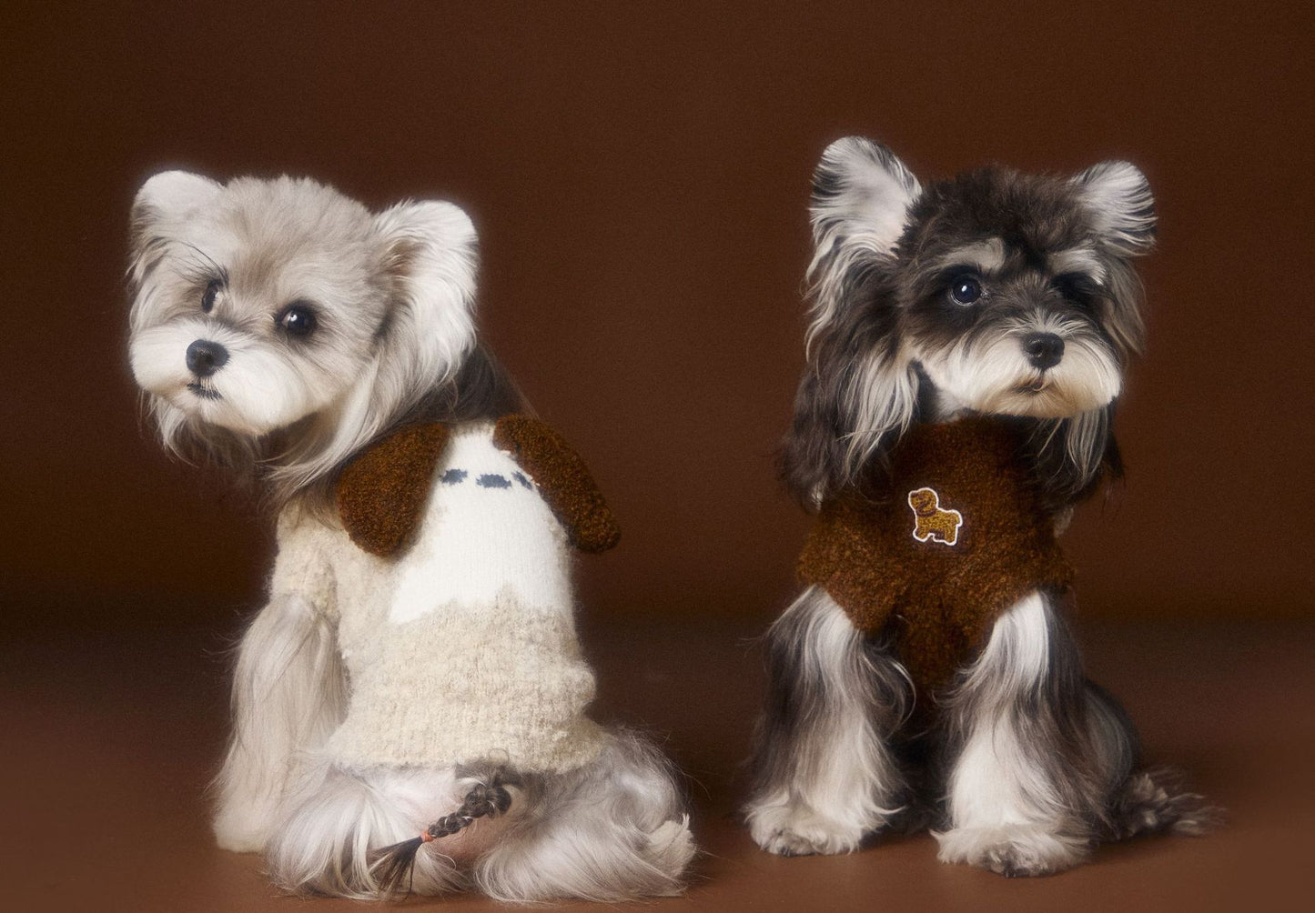 Sleeveless knitted vests for dogs in autumn and winter