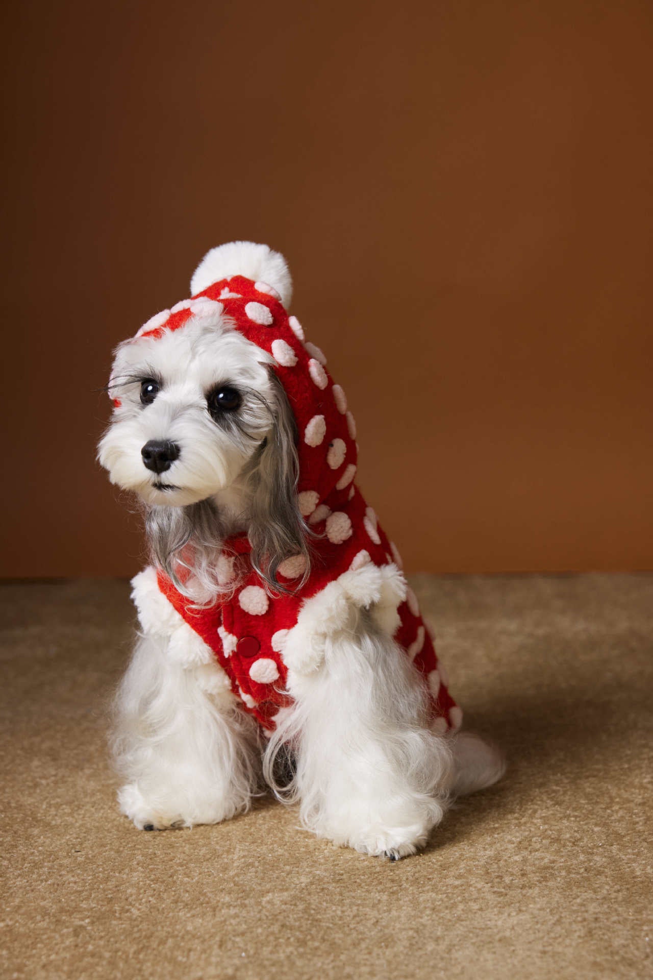 Red polka-dot sleeveless hooded vest for dogs