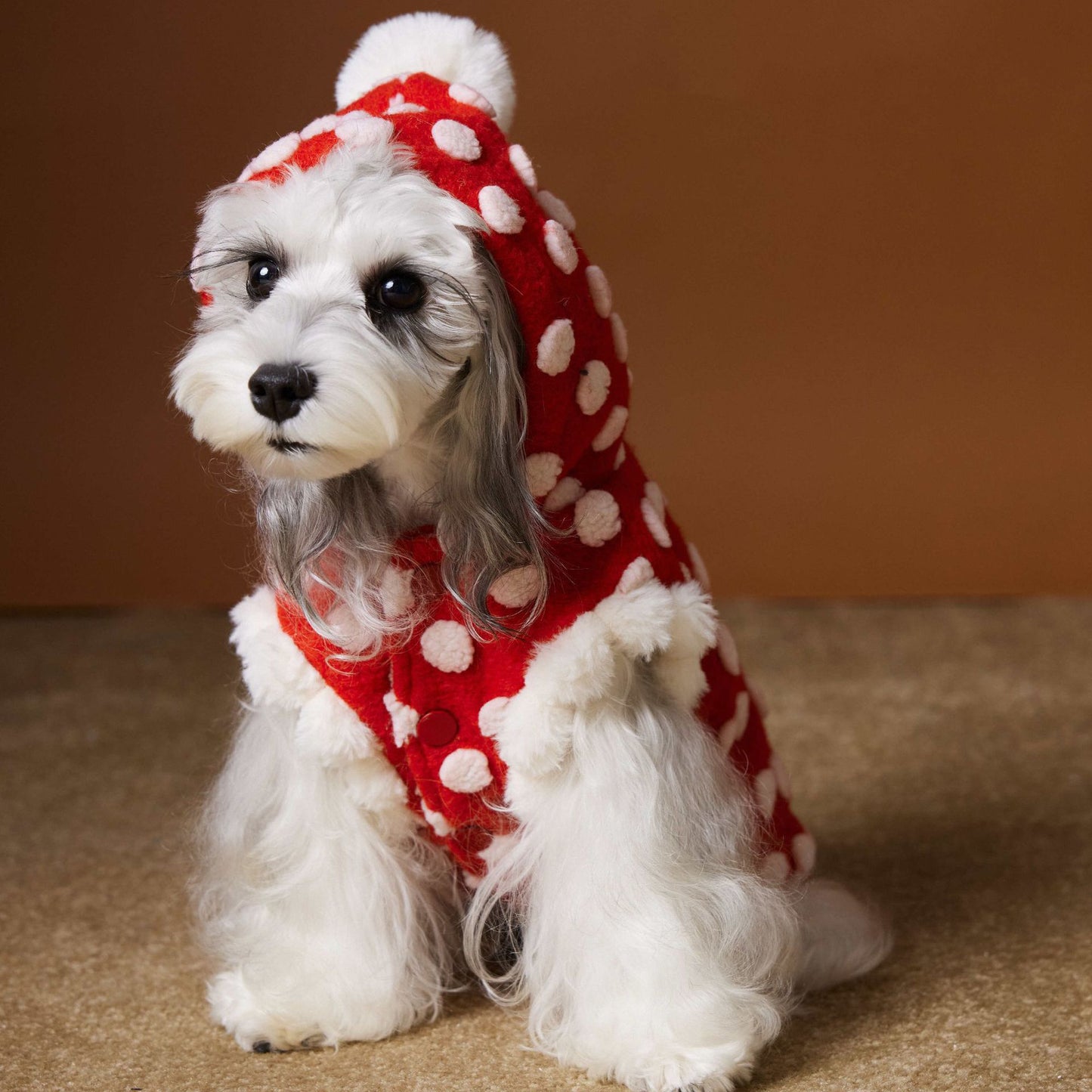 Red polka-dot sleeveless hooded vest for dogs