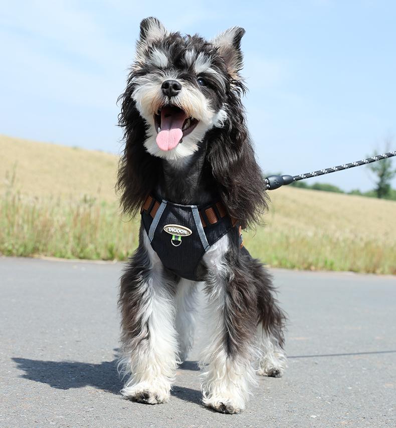 Lightweight pet harness with reflective strips