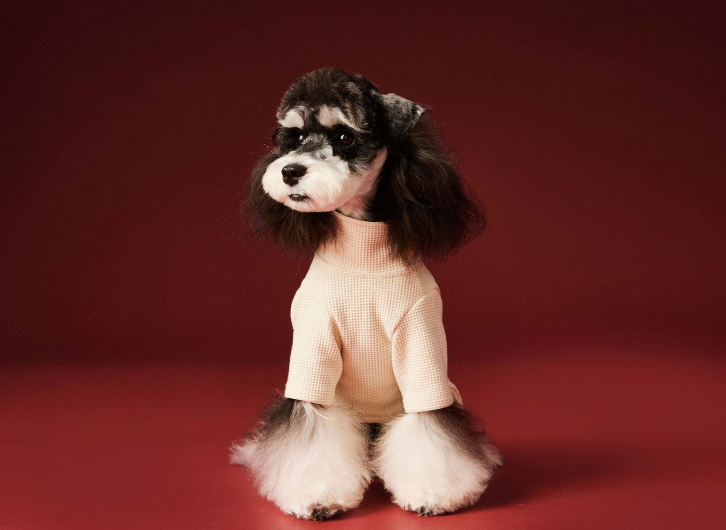Waffle-patterned four-legged base layer for dogs in autumn and winter