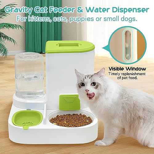 2-in-1 Automatic Pet Feeder and Water Dispenser Set