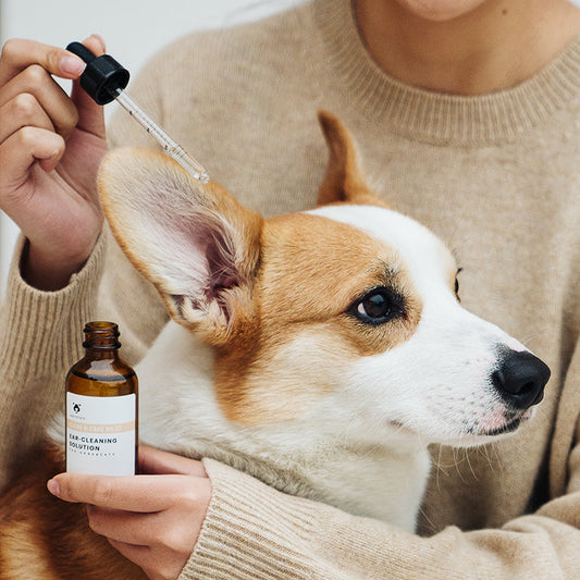 Pet Ear-Cleaning Solution