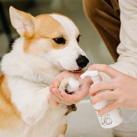 Pet Coconut Oil No-Rinse Cleansing Foam