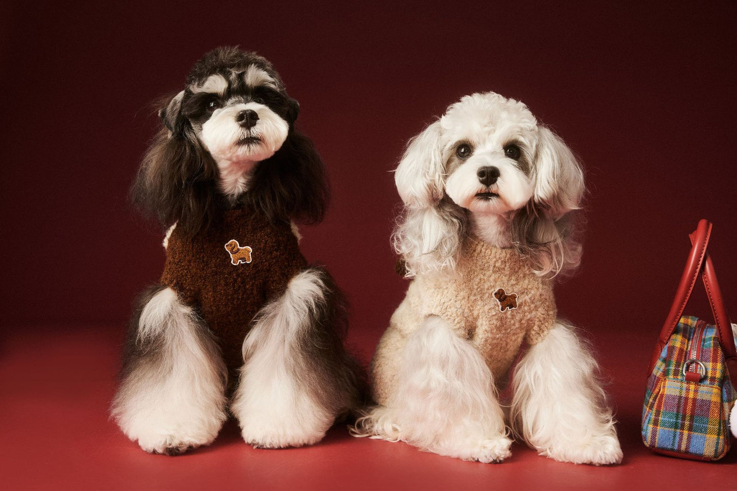 Sleeveless knitted vests for dogs in autumn and winter