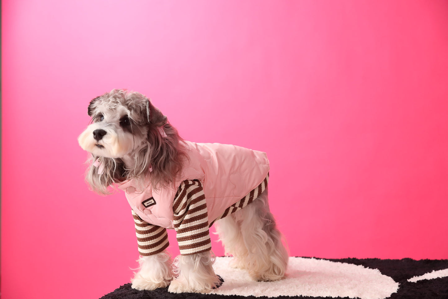 Warm puffer vest/sleeveless puffer vest for dogs