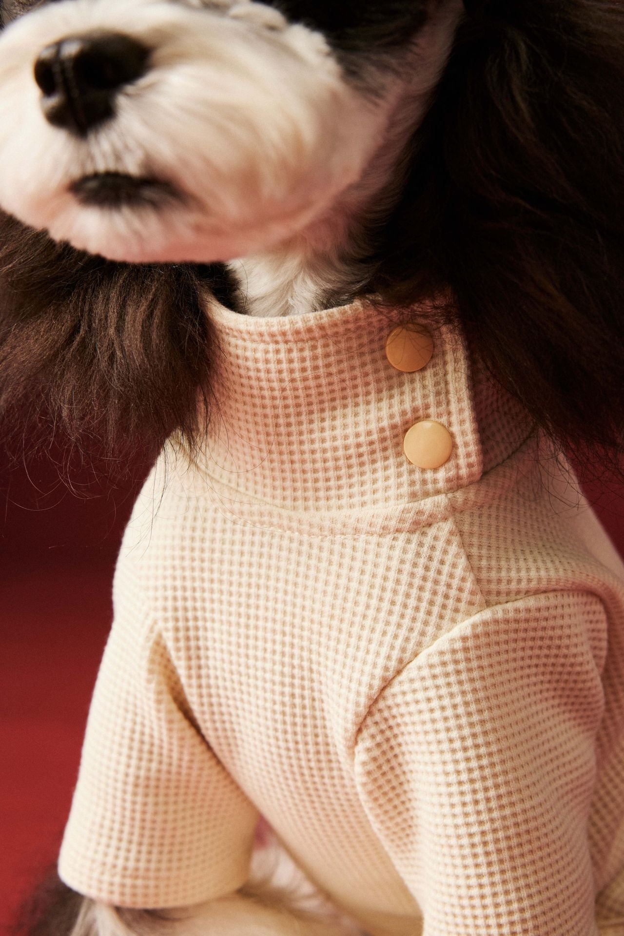 Waffle-patterned four-legged base layer for dogs in autumn and winter