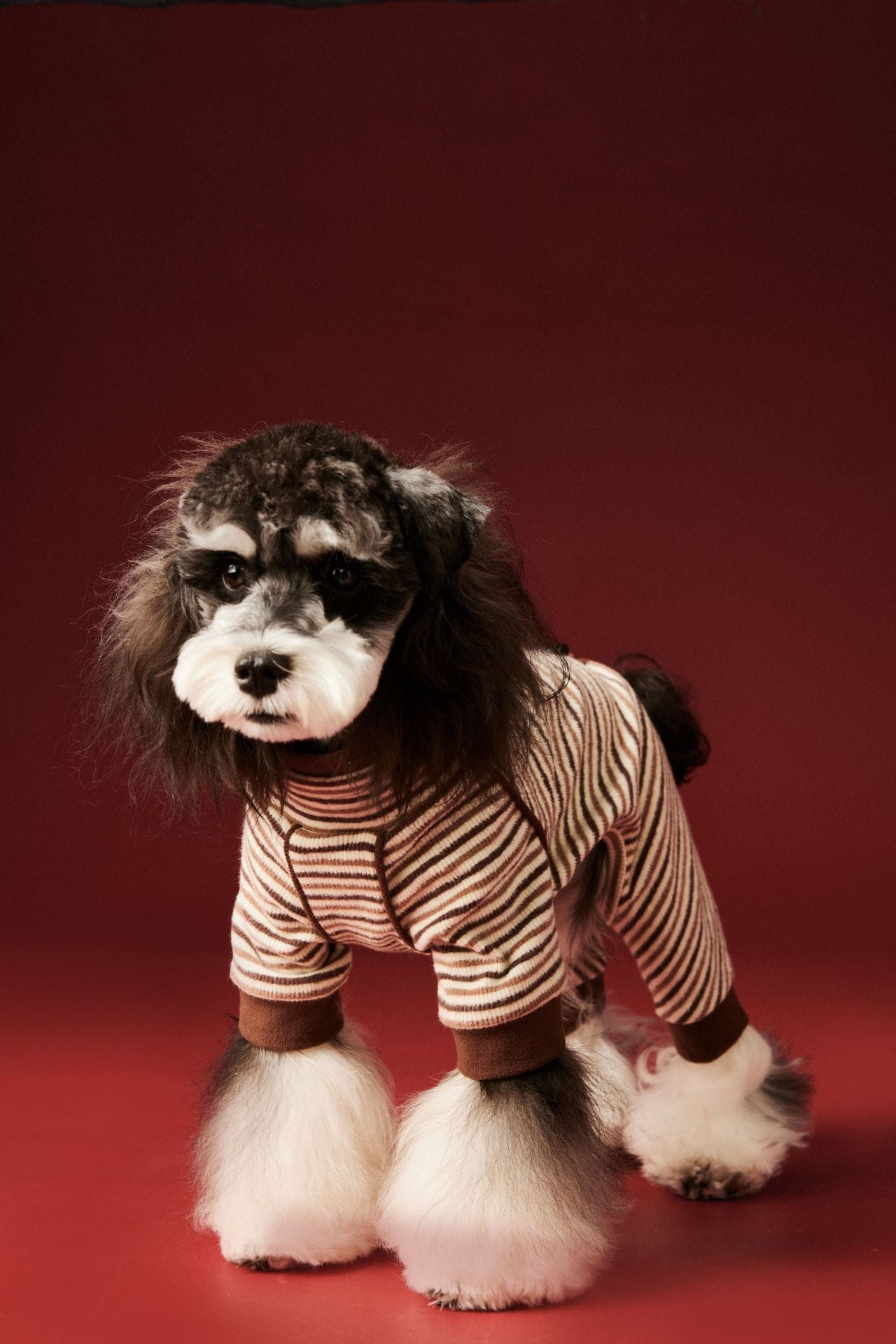 Warm four - legged striped base layer for dogs