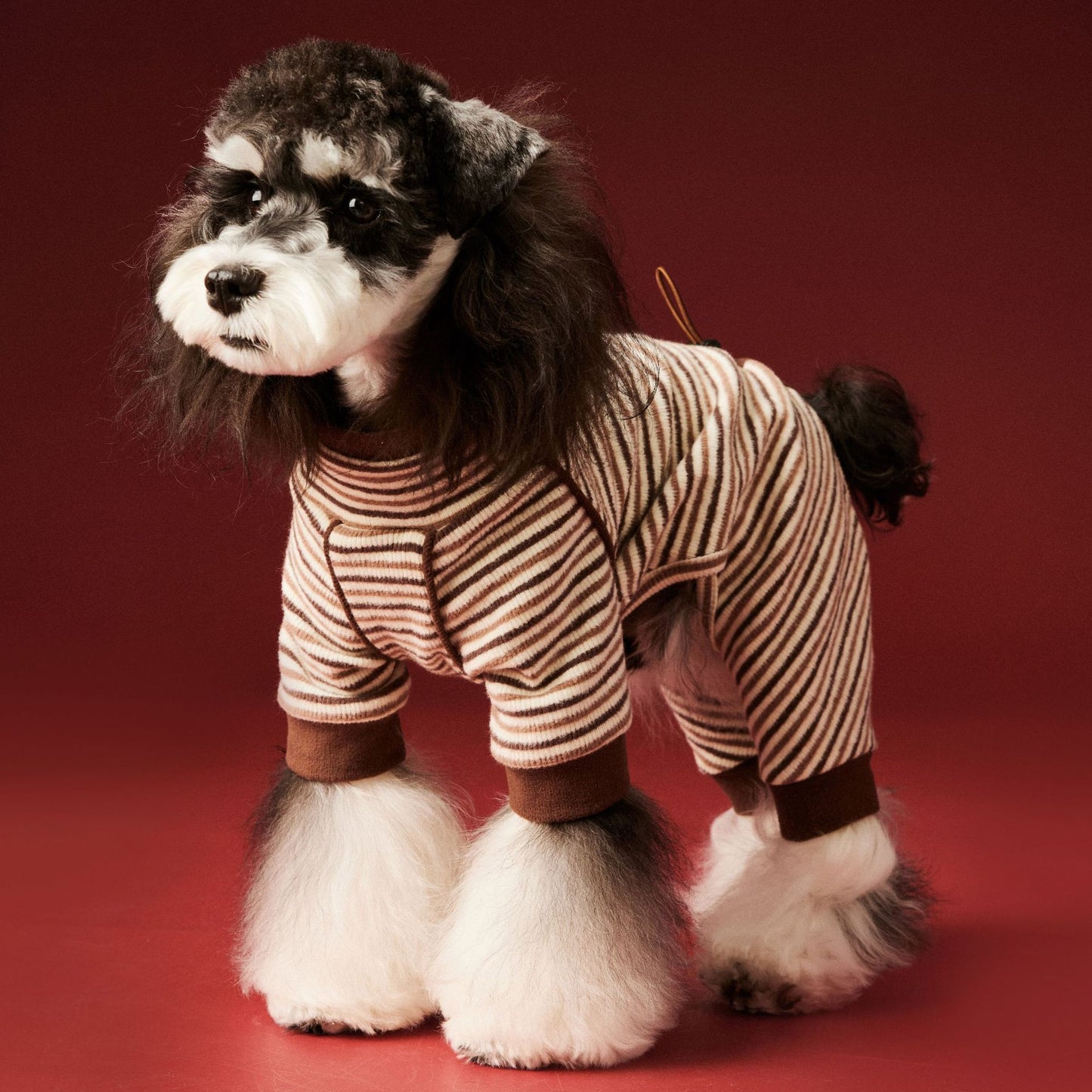 Warm four - legged striped base layer for dogs
