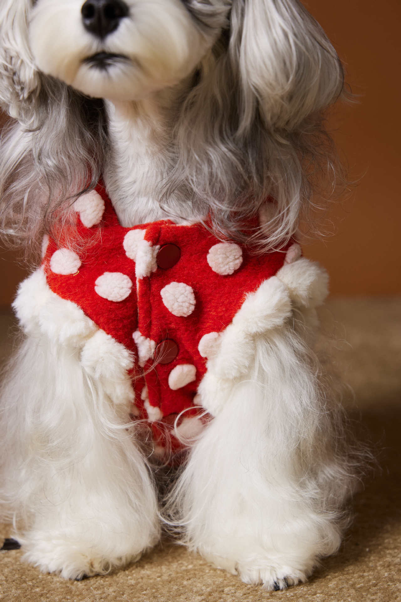 Red polka-dot sleeveless hooded vest for dogs
