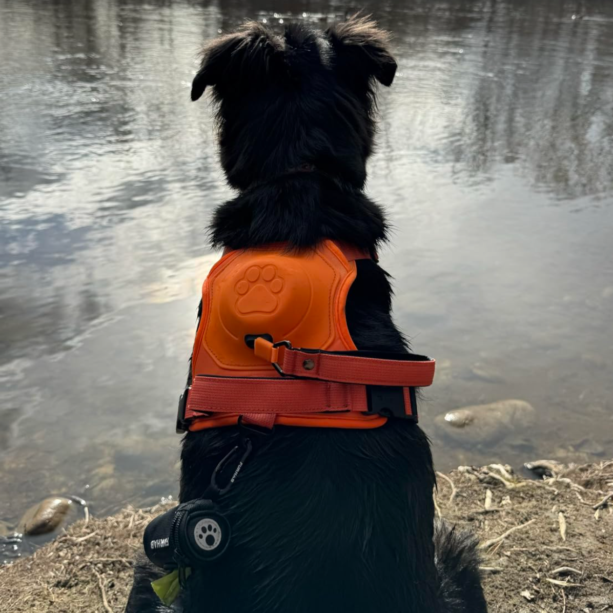 3 in 1 Dog Harness with Built-In Leash