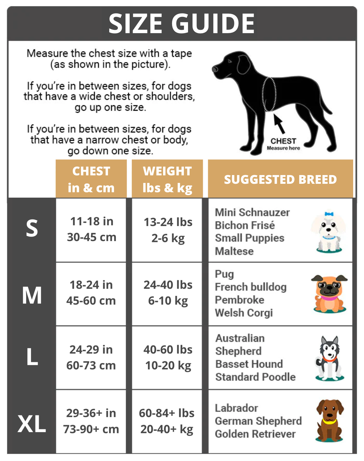 3 in 1 Dog Harness with Built-In Leash