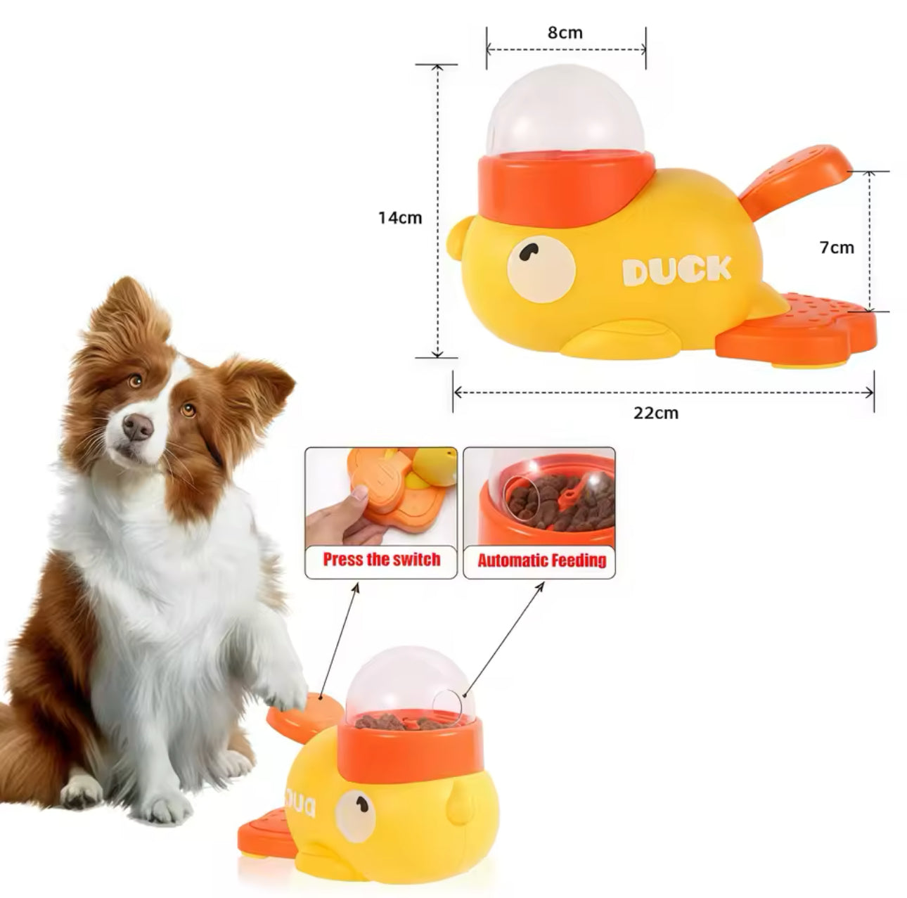 Interactive Pet Feeder