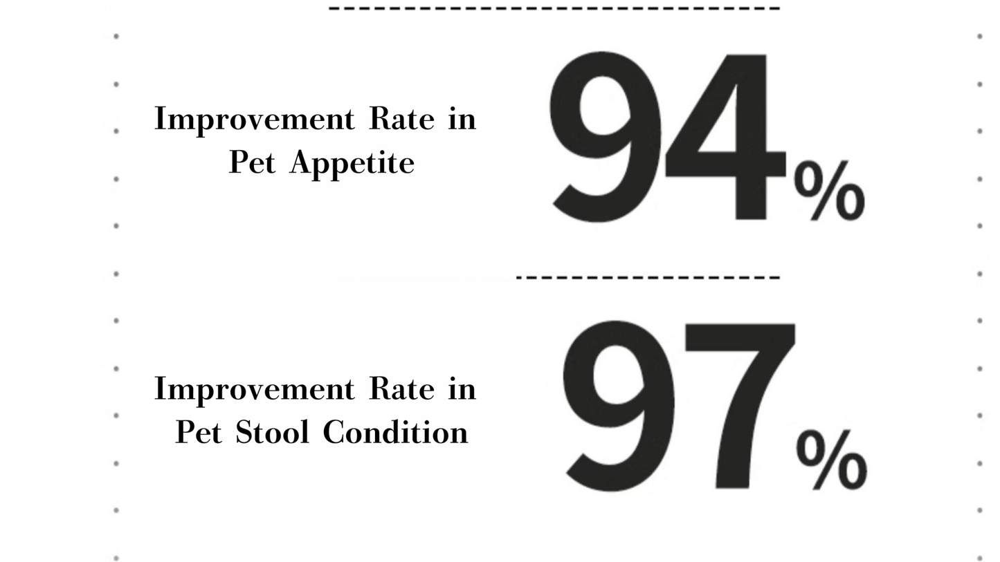 Lactic Acid Bacteria mouthwash for dogs and cats