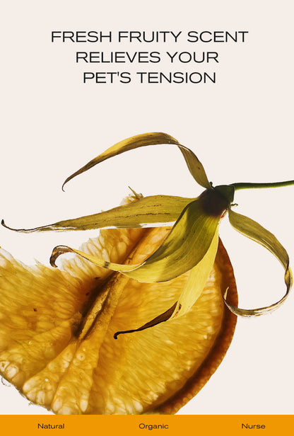 Oral Care Finger Cots Mega Bundle