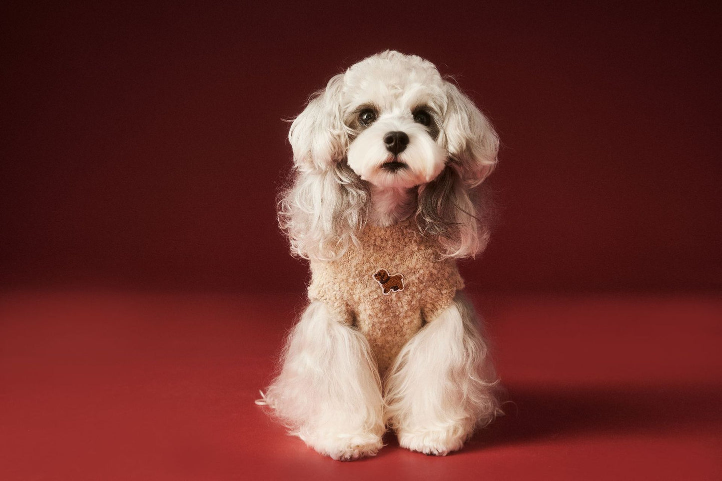 Sleeveless knitted vests for dogs in autumn and winter