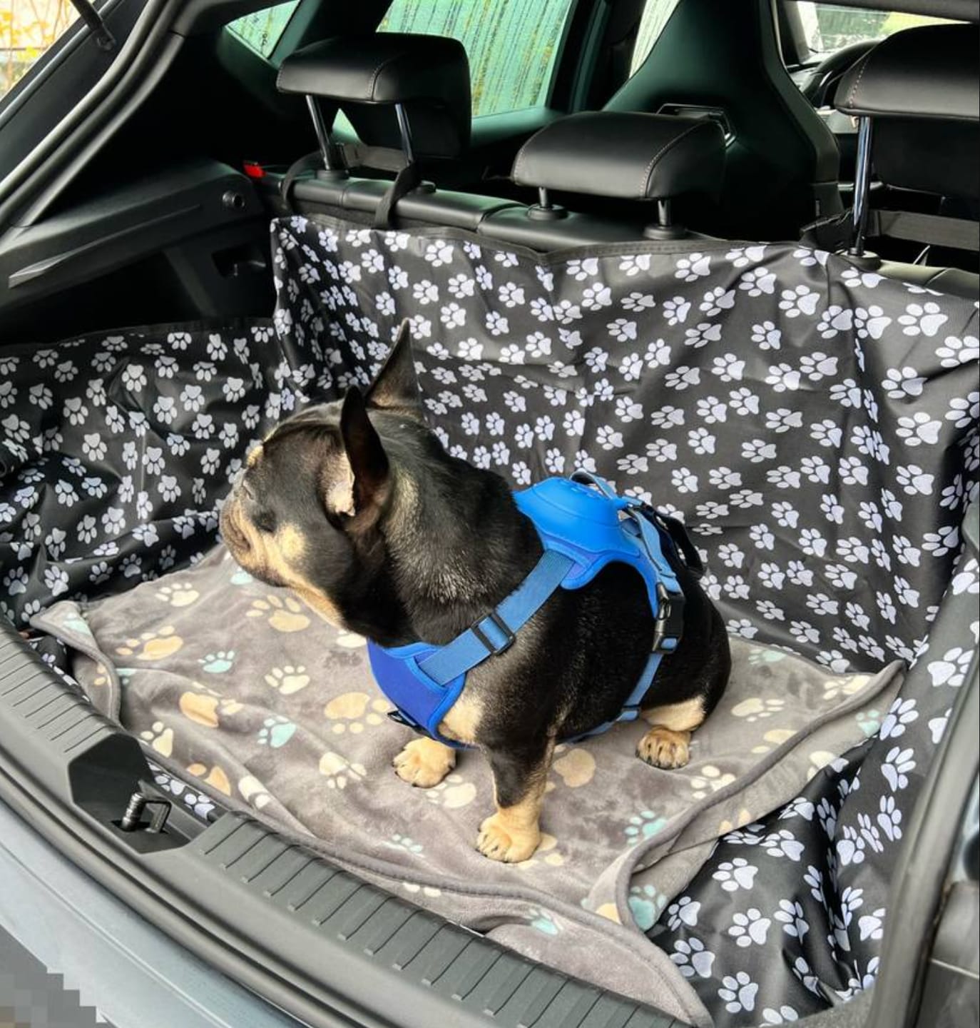 3 in 1 Dog Harness with Built-In Leash