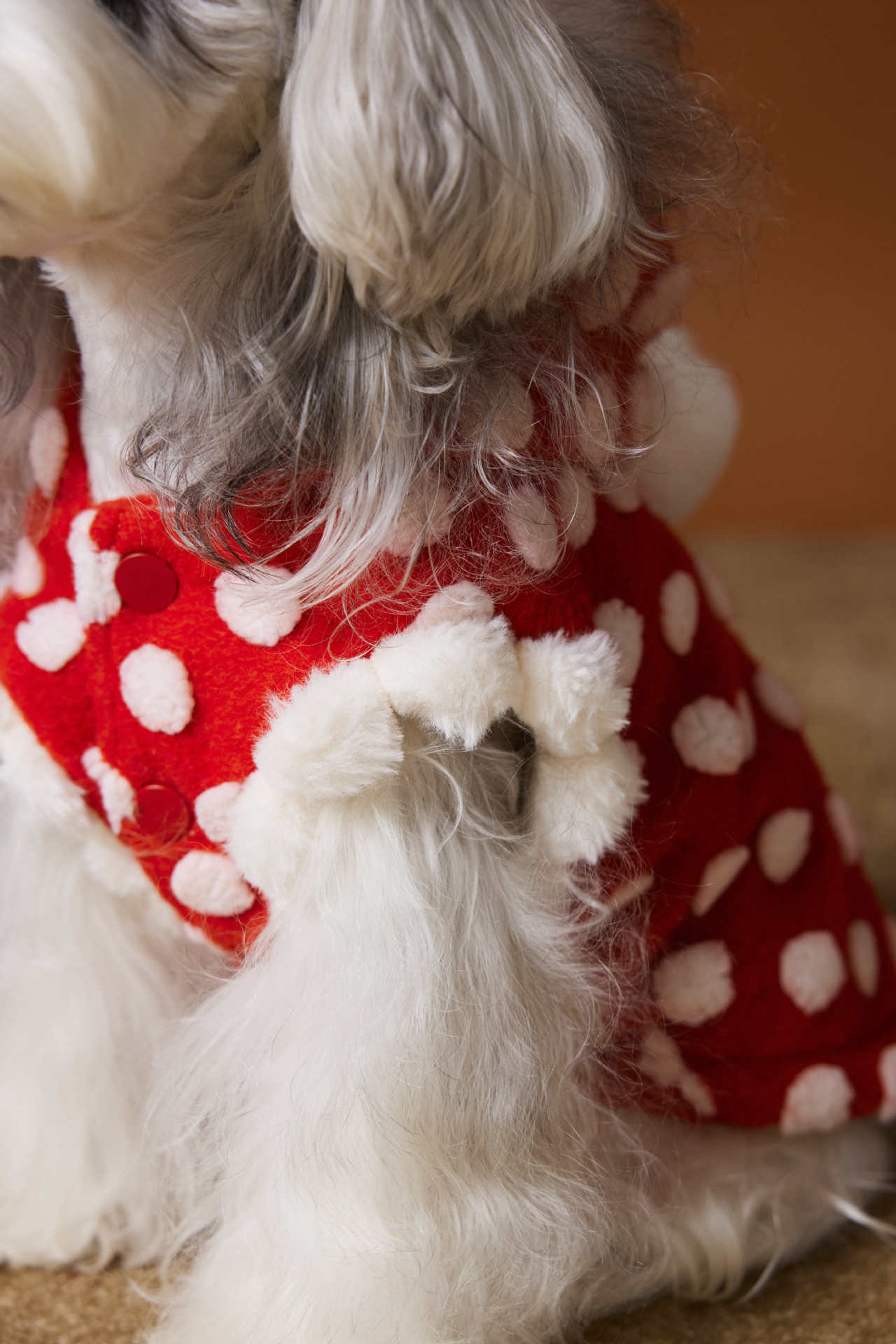 Red polka-dot sleeveless hooded vest for dogs