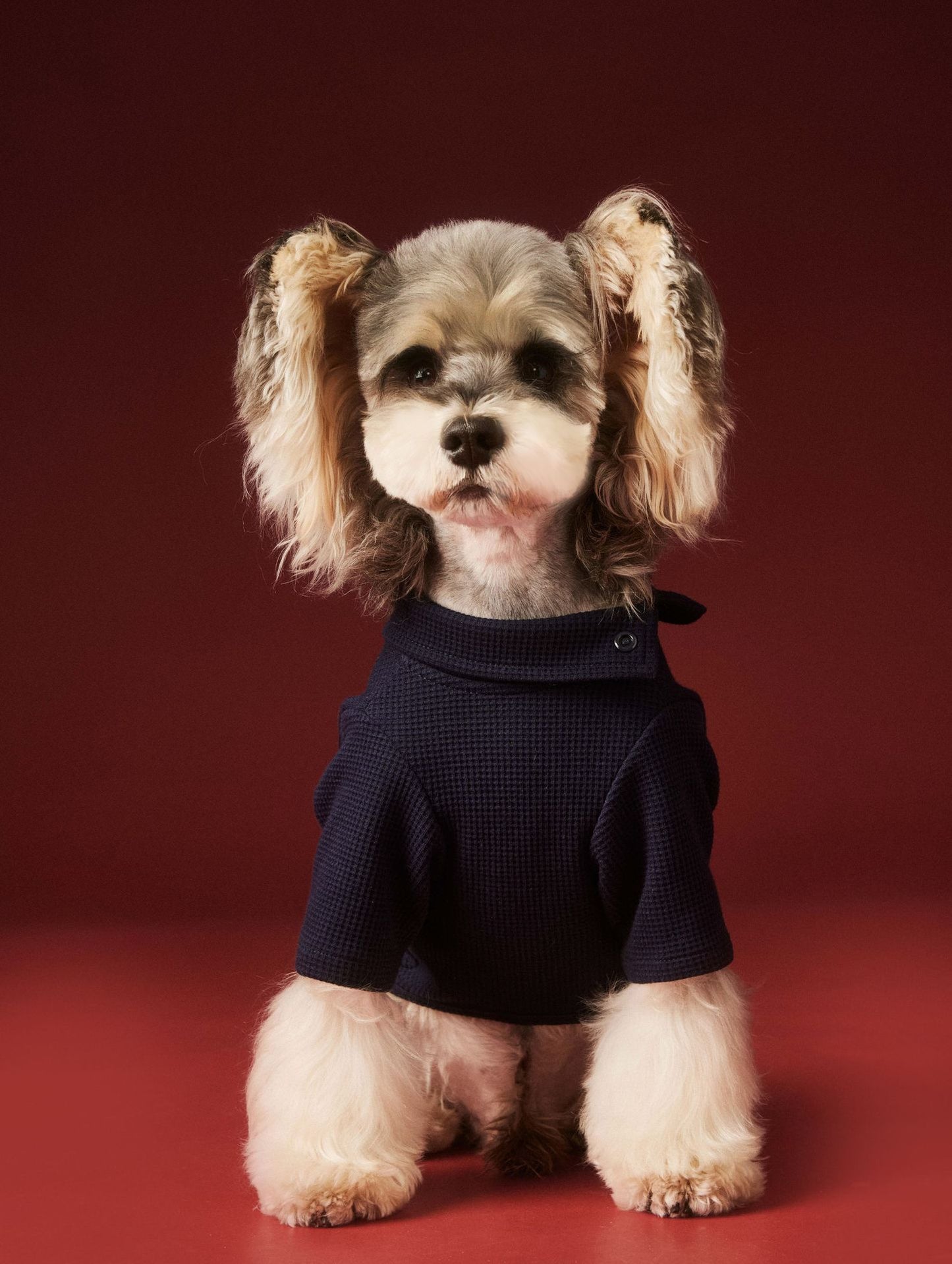 Waffle-patterned four-legged base layer for dogs in autumn and winter