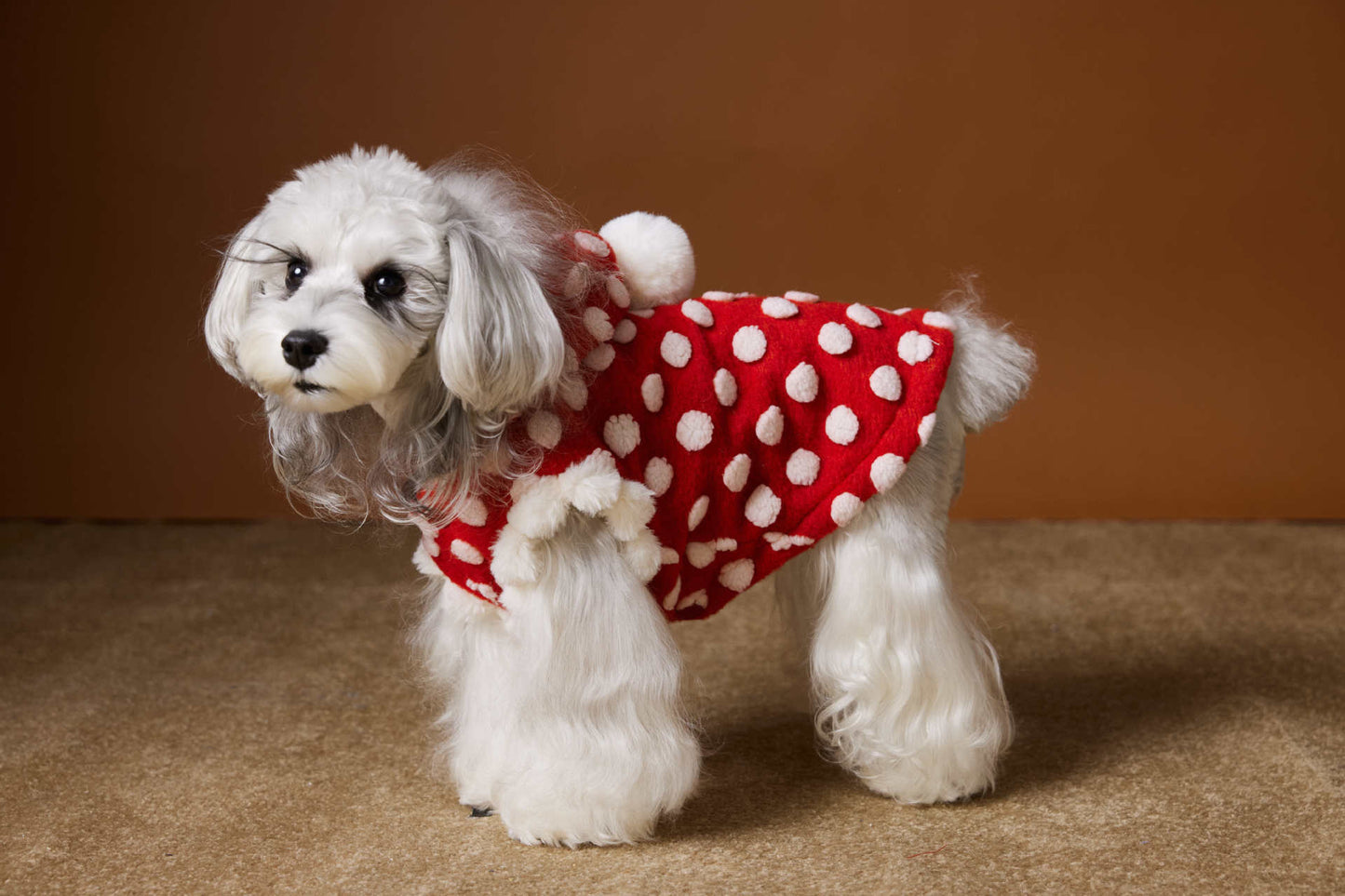 Red polka-dot sleeveless hooded vest for dogs