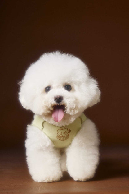 Reversible striped lace trim sleeveless vest for dogs