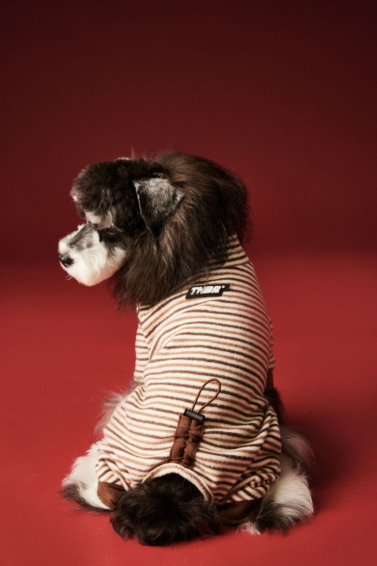 Warm four - legged striped base layer for dogs