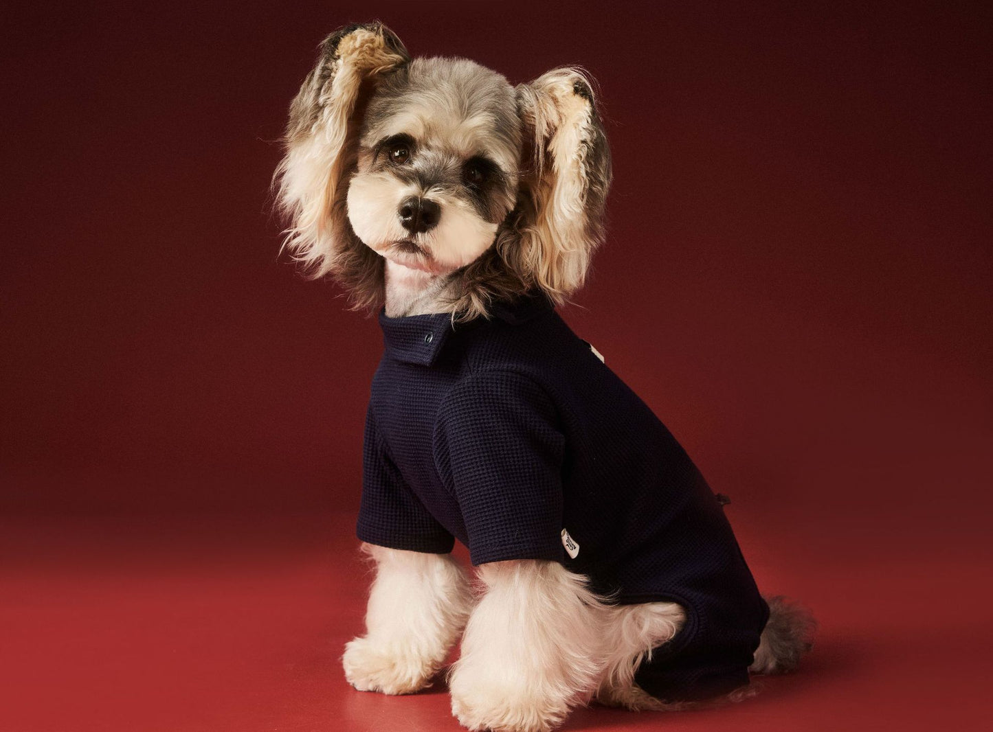 Waffle-patterned four-legged base layer for dogs in autumn and winter