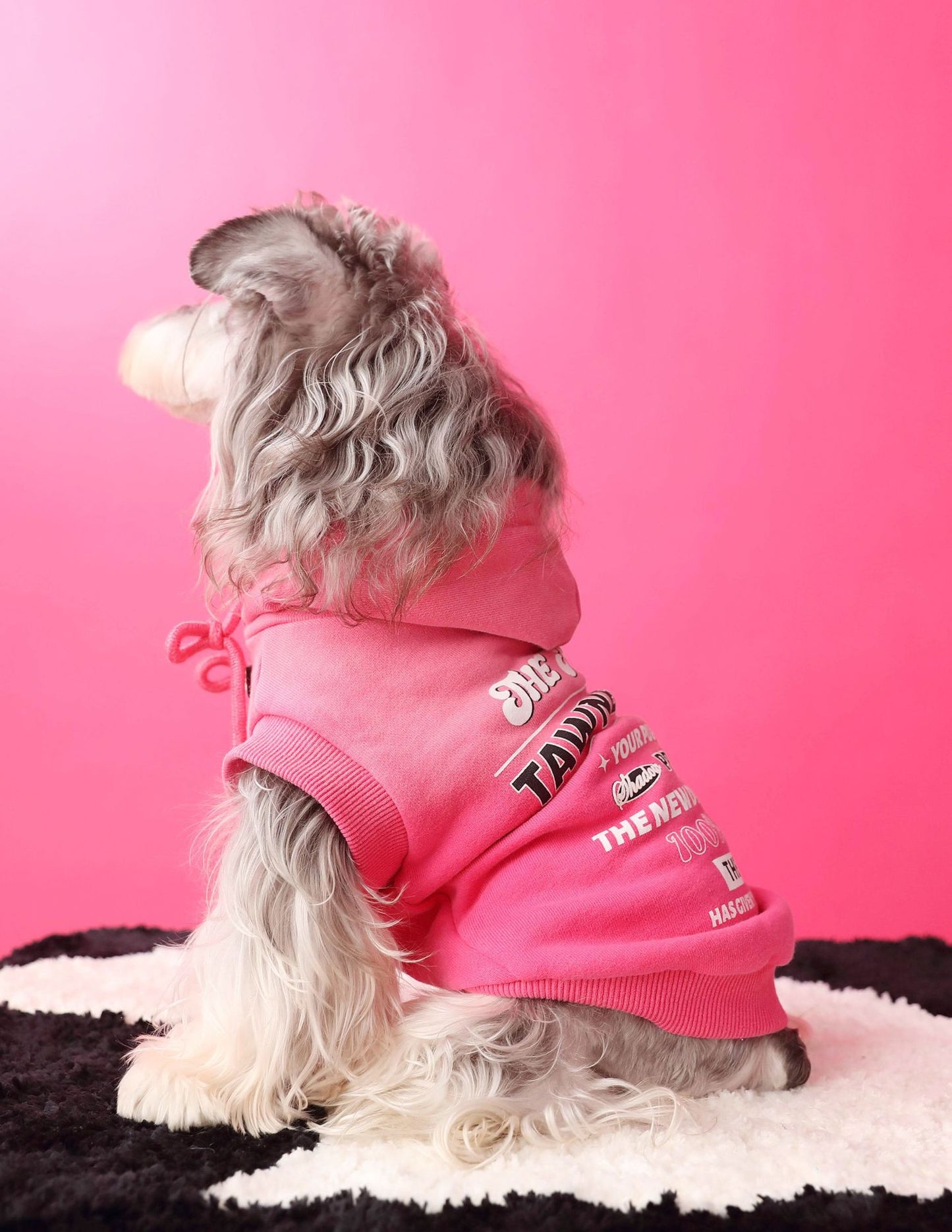 Gradient color sleeveless hooded sweatshirt for dogs