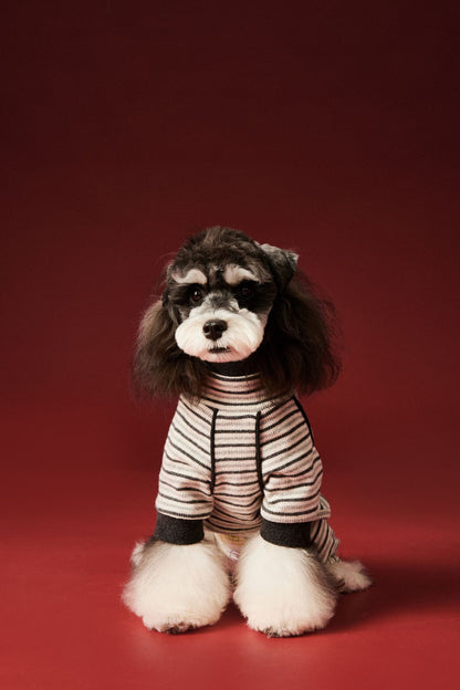 Warm four - legged striped base layer for dogs