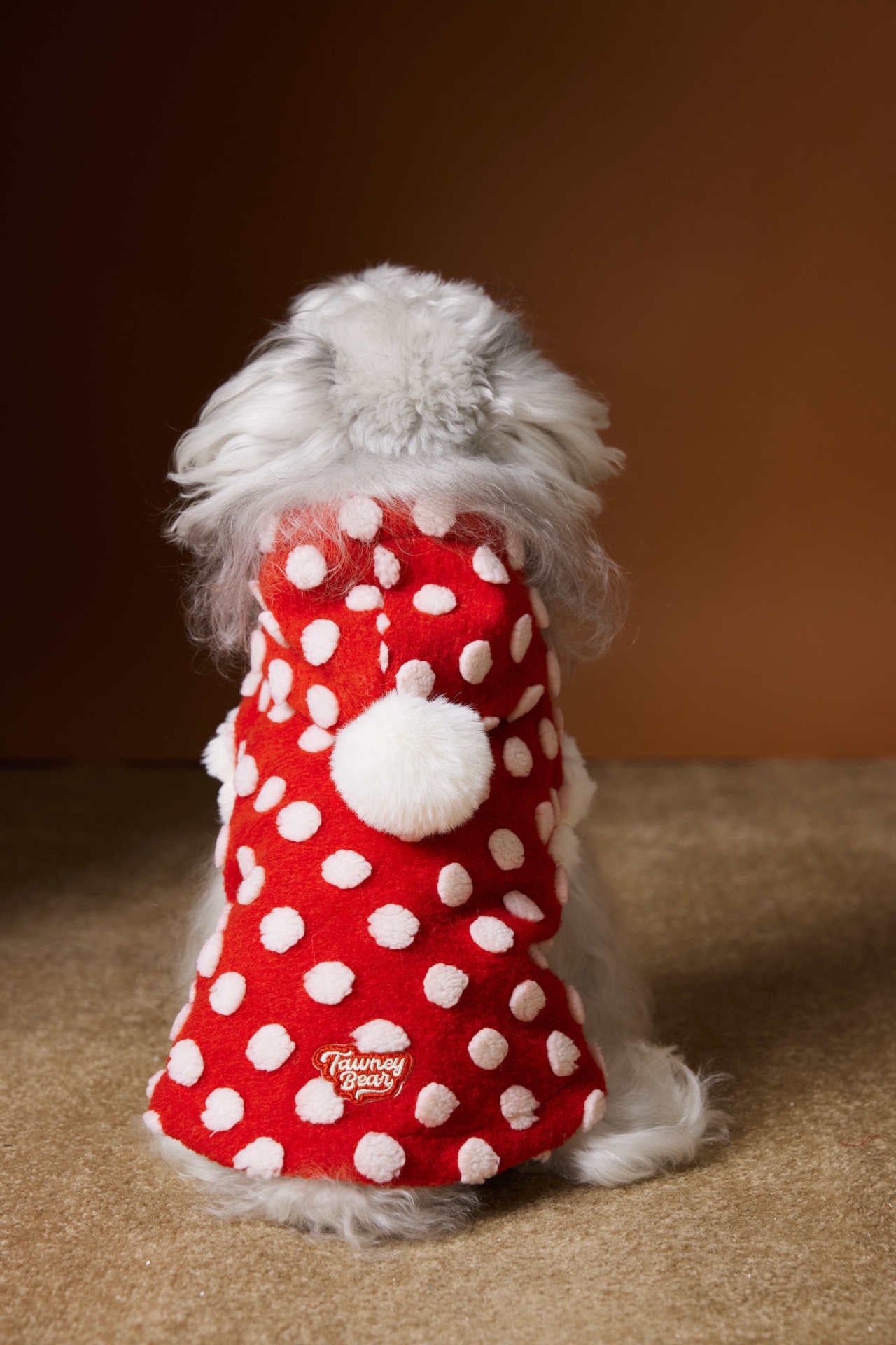 Red polka-dot sleeveless hooded vest for dogs