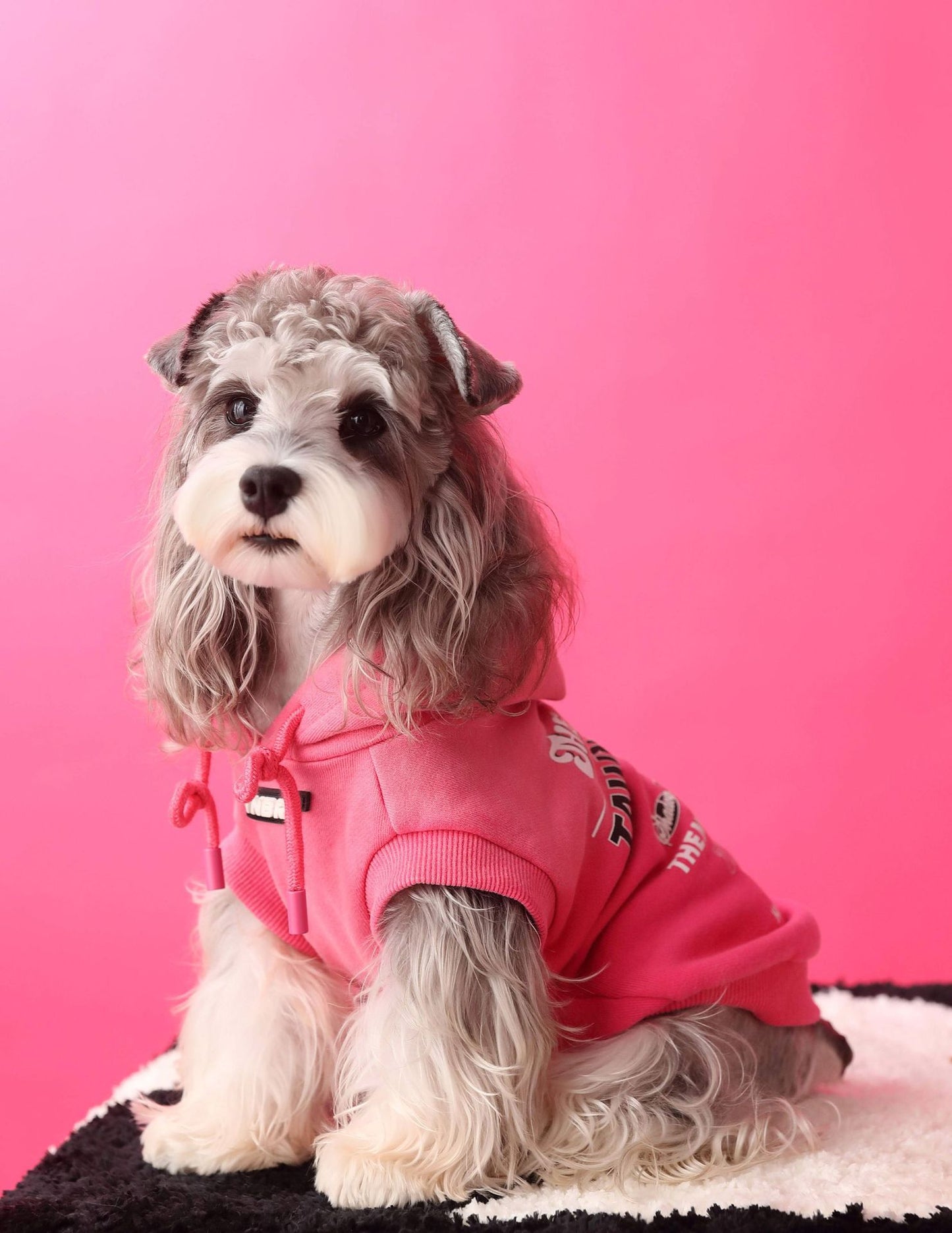 Gradient color sleeveless hooded sweatshirt for dogs