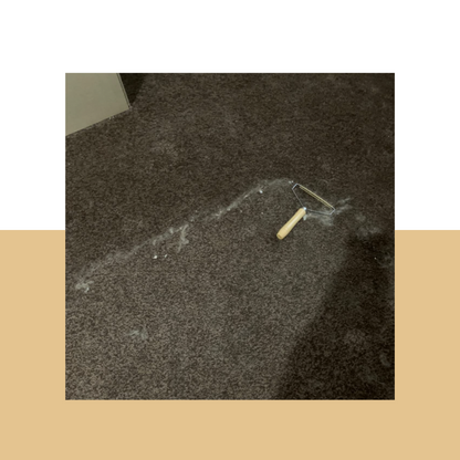 Pet Hair Remover