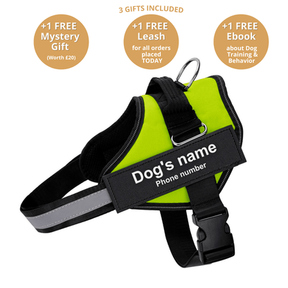Ultimate Personalized No Pull Dog Harness