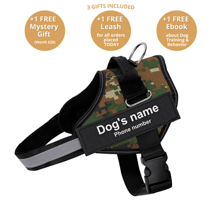 Ultimate Personalized No Pull Dog Harness
