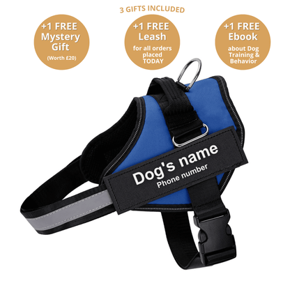 Ultimate Personalized No Pull Dog Harness