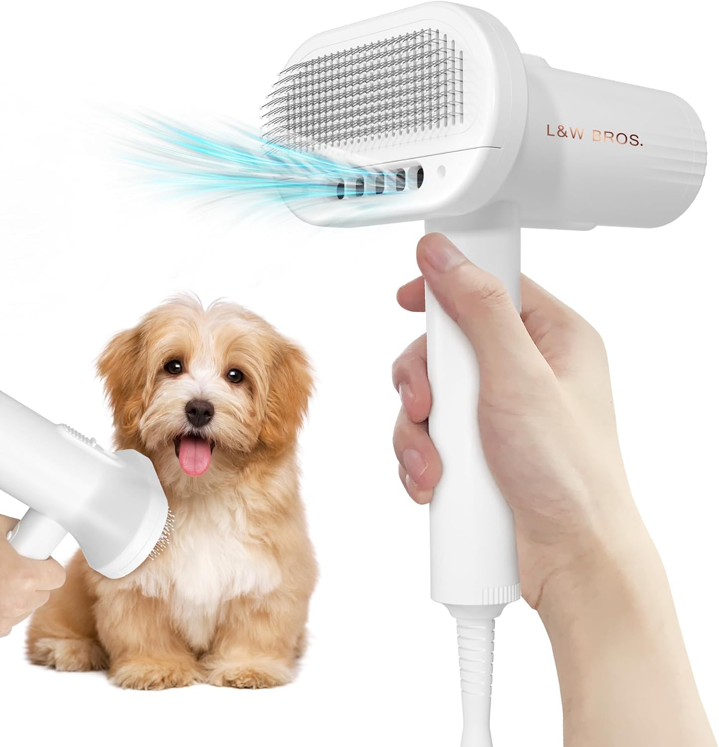2-in 1 Overheating Protection Low Noise Dryer for Small Dogs