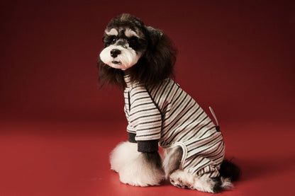 Warm four - legged striped base layer for dogs