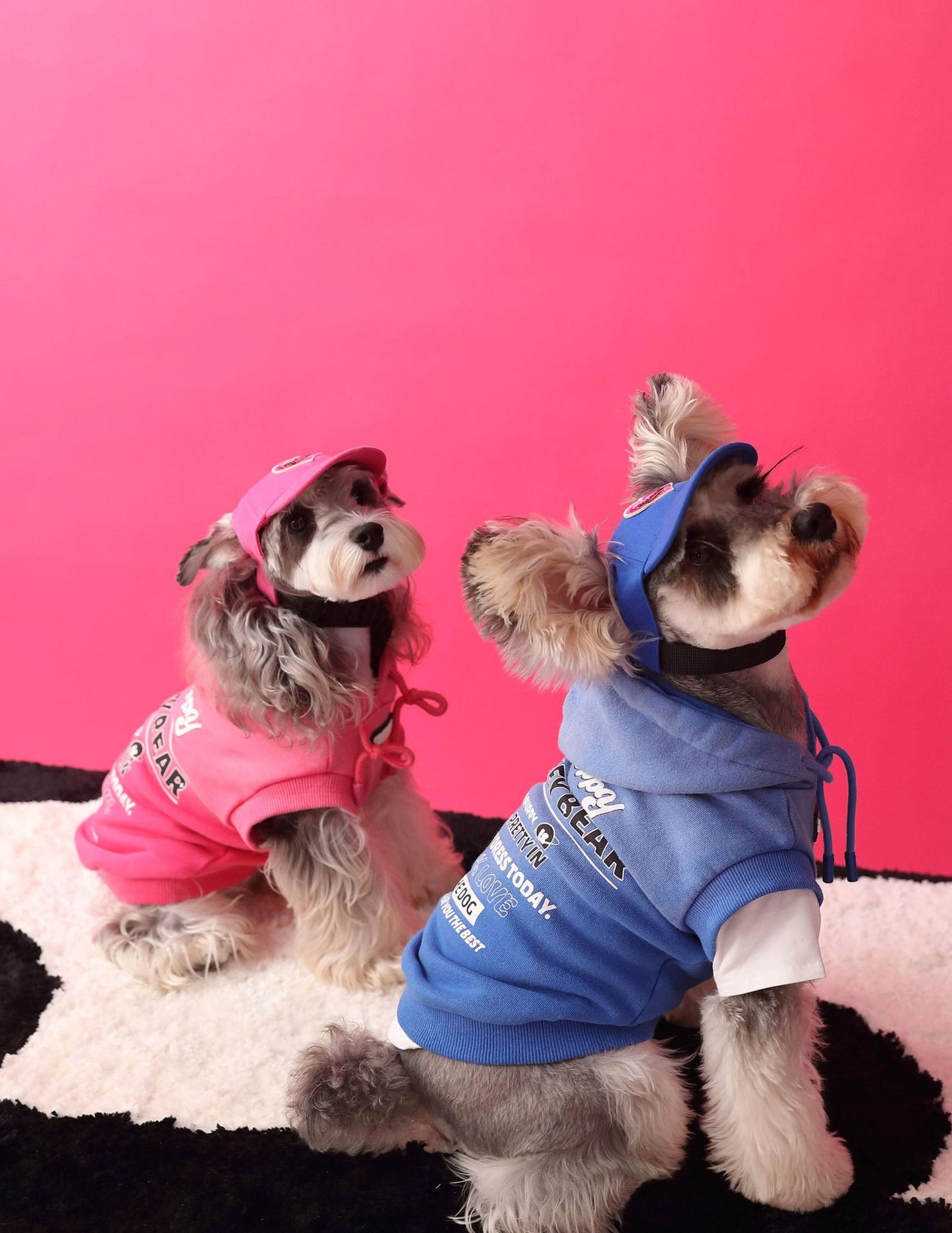 Gradient color sleeveless hooded sweatshirt for dogs