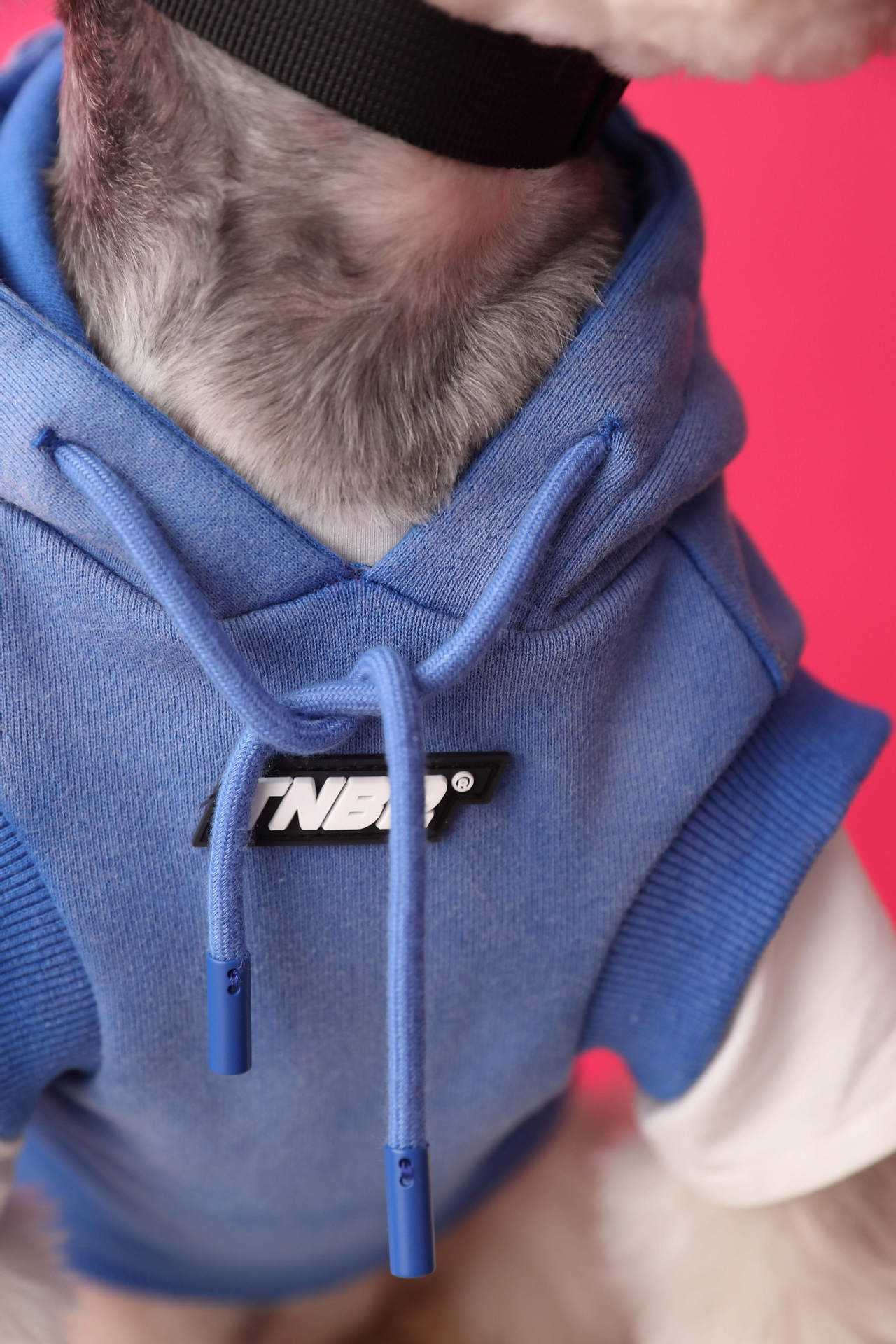 Gradient color sleeveless hooded sweatshirt for dogs