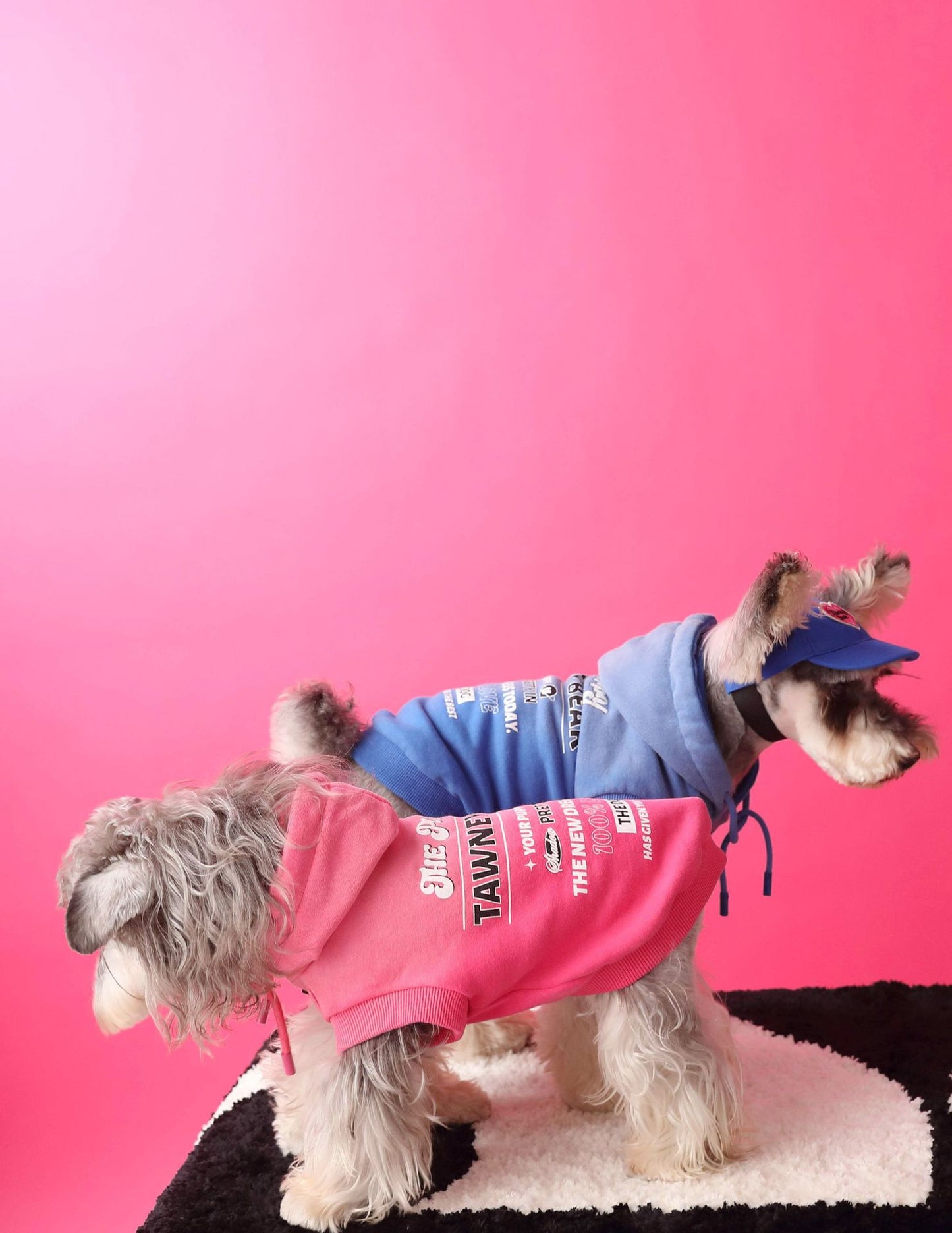 Gradient color sleeveless hooded sweatshirt for dogs