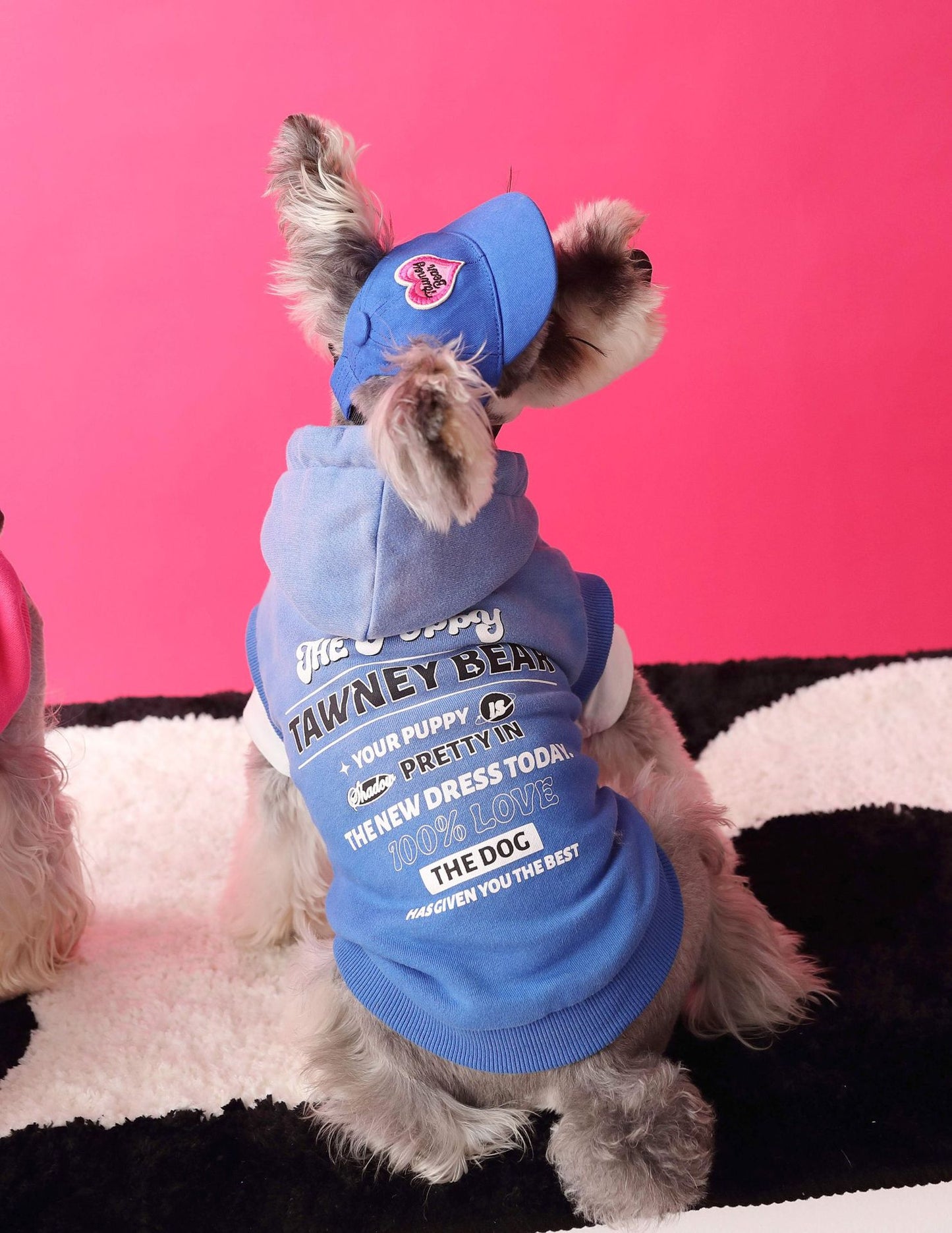 Gradient color sleeveless hooded sweatshirt for dogs