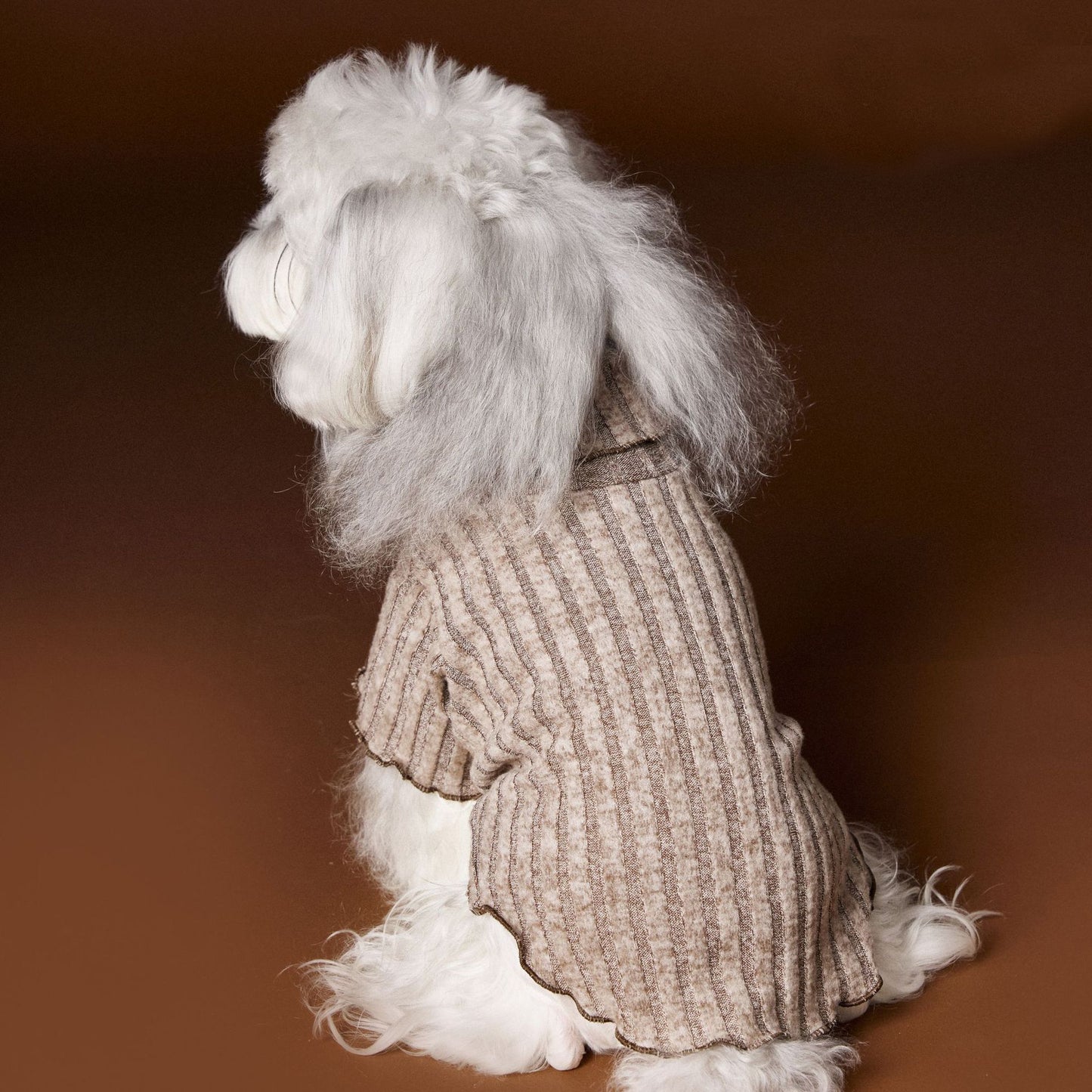Lace - trimmed and bow - adorned undershirt for dogs