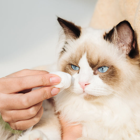 Organic Tear Stain Balm