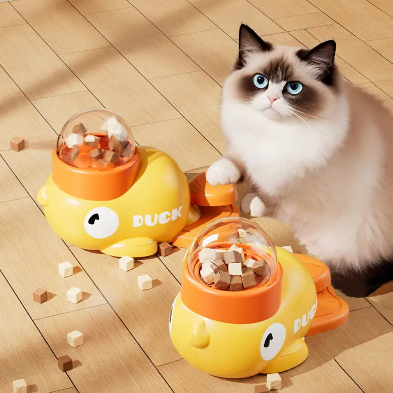 Interactive Pet Feeder