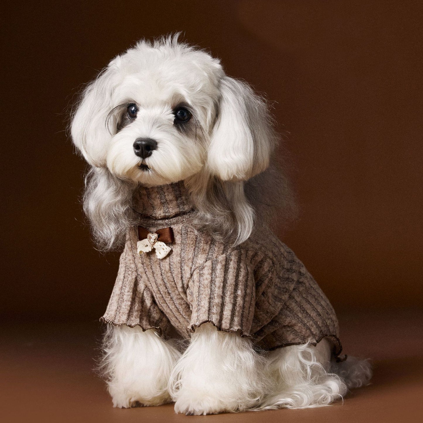 Lace - trimmed and bow - adorned undershirt for dogs